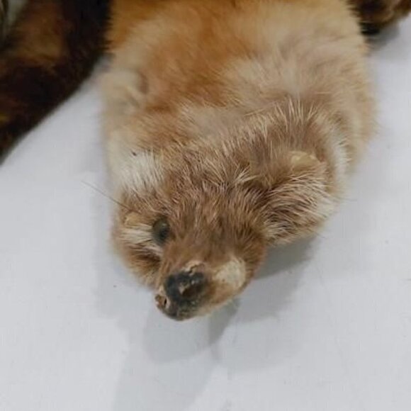 Vintage  AMY Mink Real Fur Hat and Shall - Picture 12 of 13